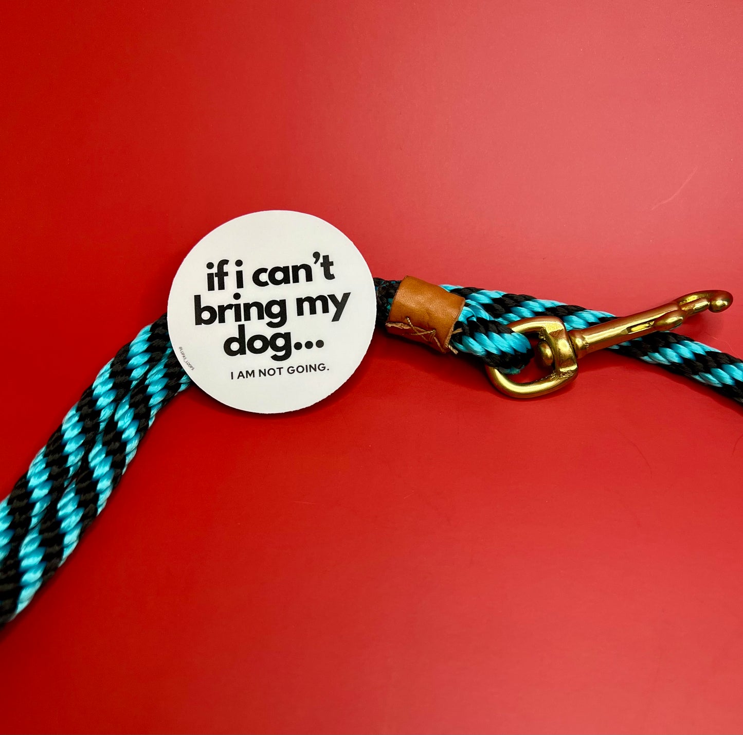 If I Can’t Bring My Dog…
