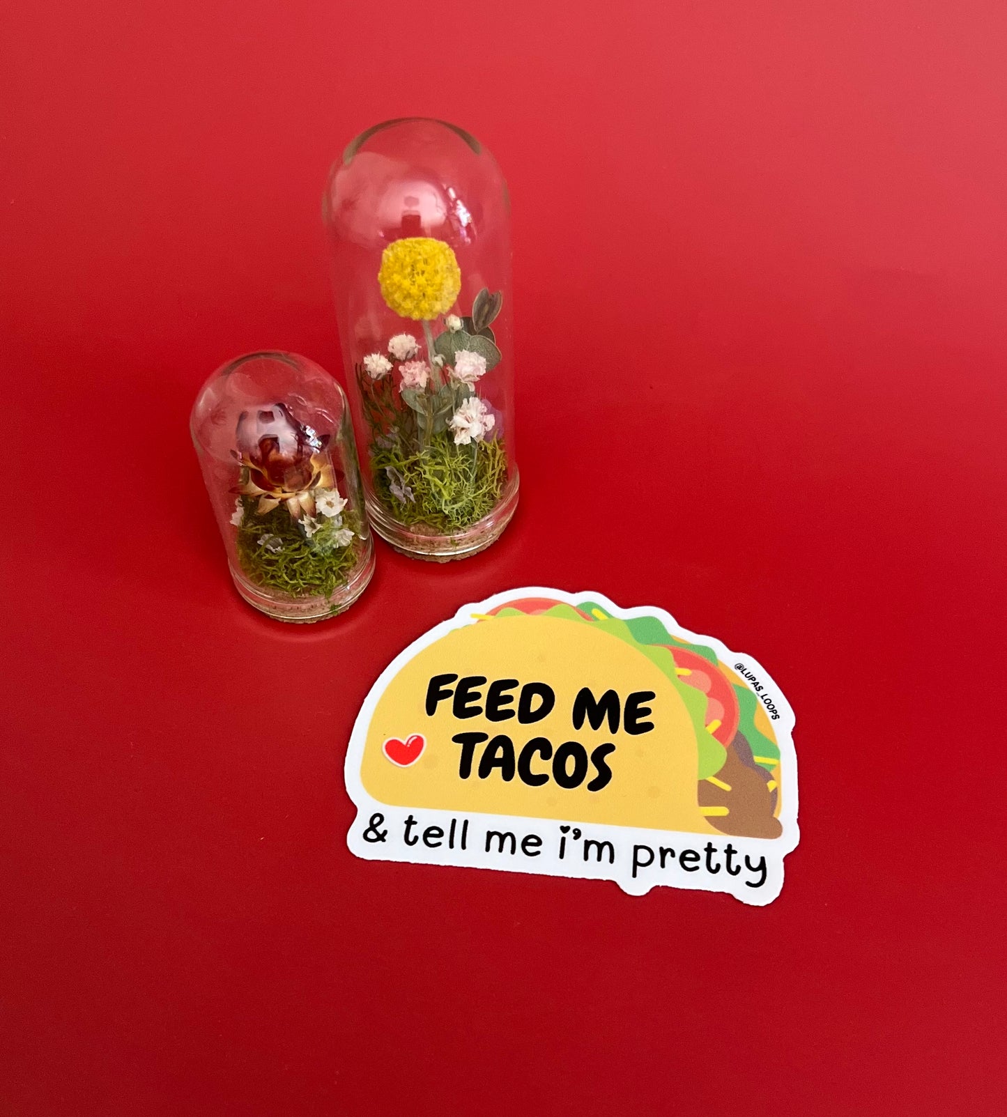 Feed Me Tacos