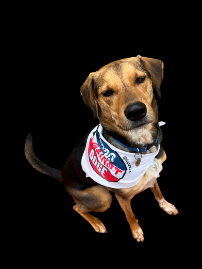 Dogs Against Doge Bandana